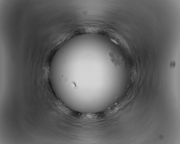 X0000099530329200806061437