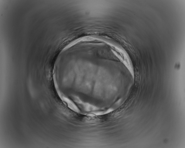 X0000099530331200806061437