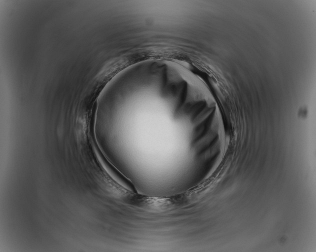 X0000099530333200806061437