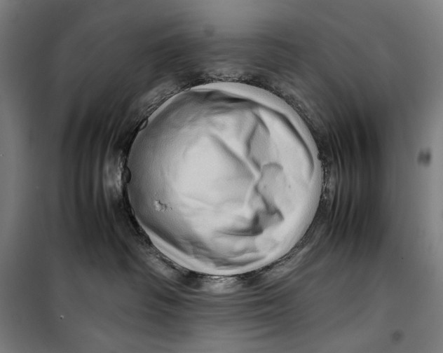 X0000099530334200806061437