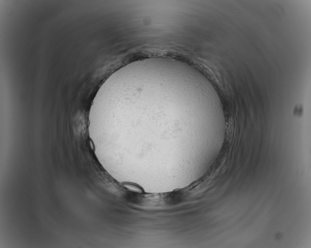 X0000099530335200806061437