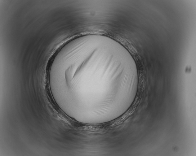 X0000099530338200806061436