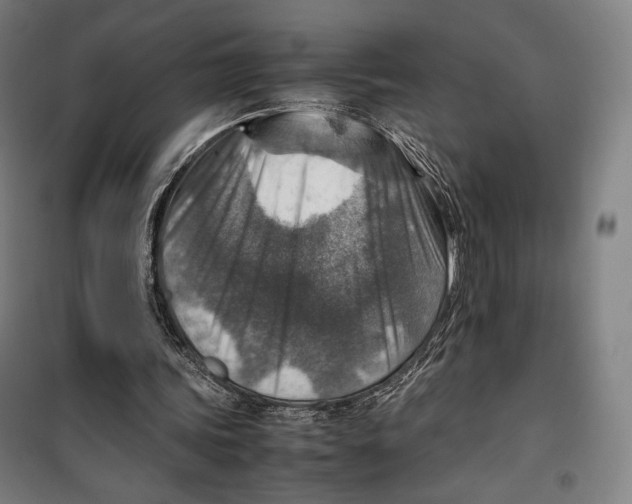 X0000099530339200806061437