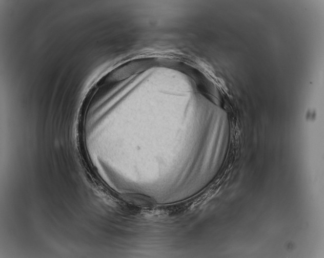 X0000099530340200806061437