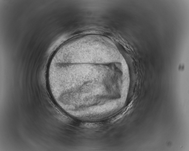 X0000099530341200806061437