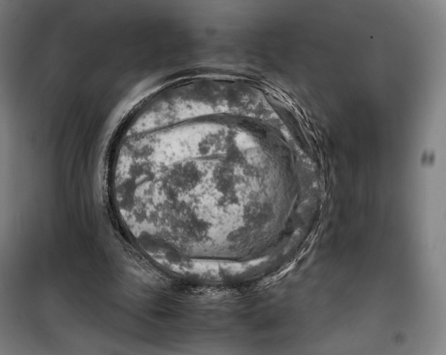 X0000099530343200806061437