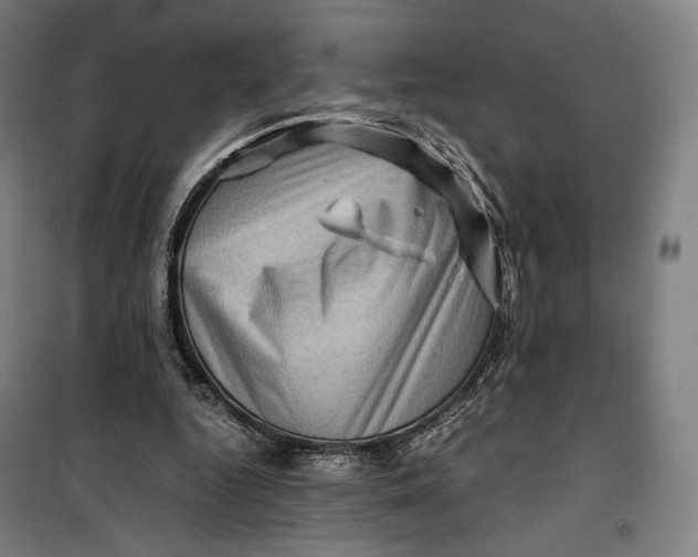 X0000099530344200806061437