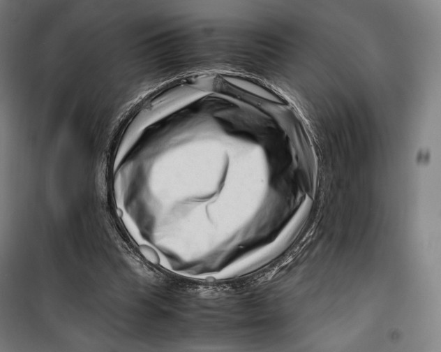 X0000099530345200806061437