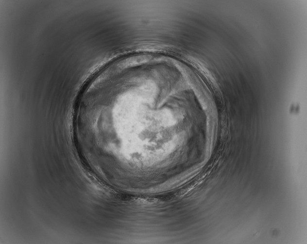 X0000099530346200806061437