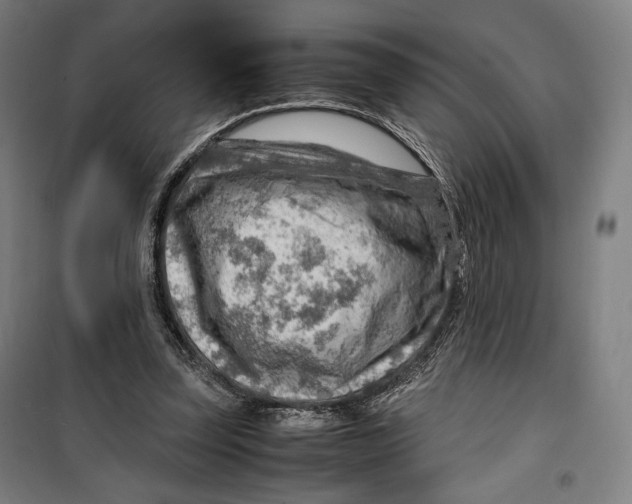 X0000099530347200806061437