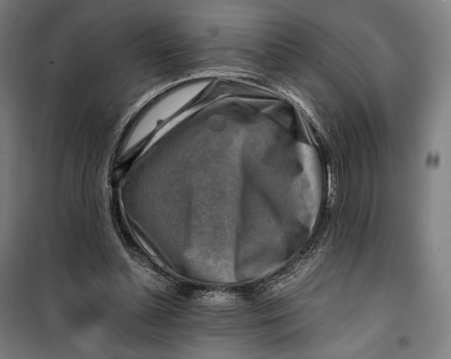 X0000099530348200806061437