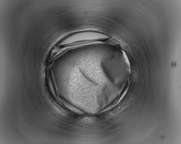 X0000099530350200806061437