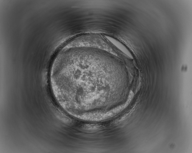 X0000099530351200806061437