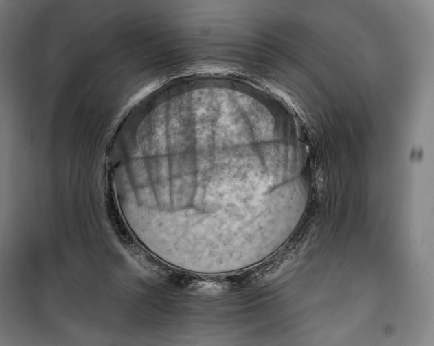 X0000099530352200806061437