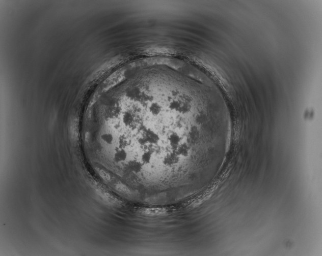 X0000099530353200806061437