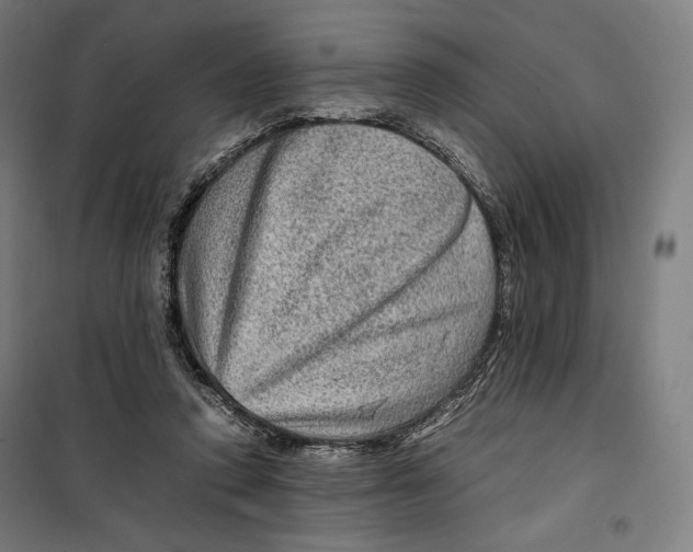 X0000099530354200806061437