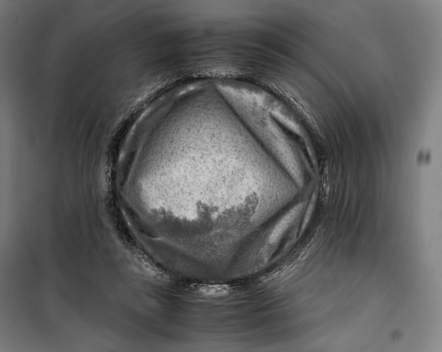 X0000099530355200806061437