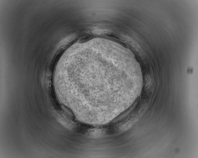 X0000099530356200806061437