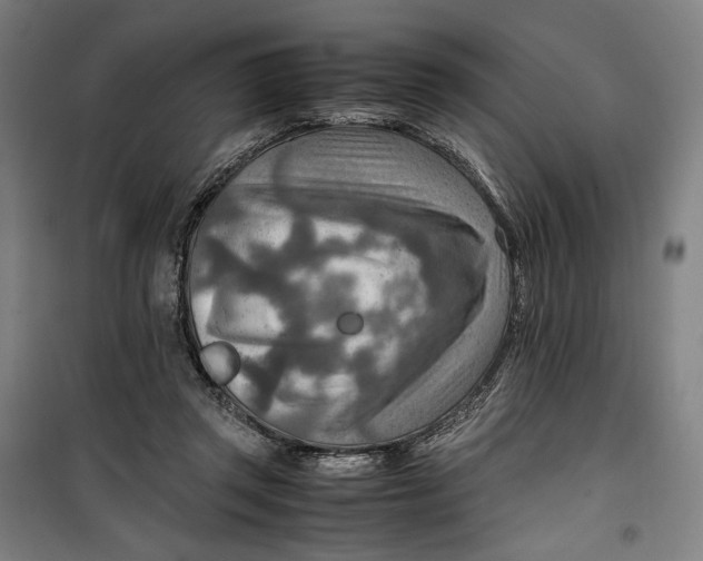 X0000099530357200806061437