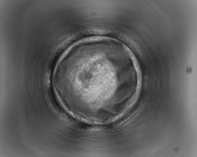 X0000099530358200806061437