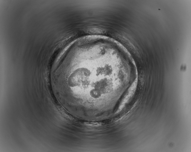 X0000099530359200806061437