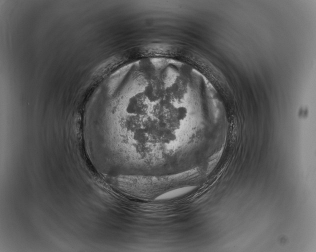 X0000099530361200806061437