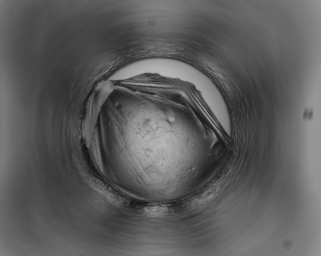 X0000099530362200806061437