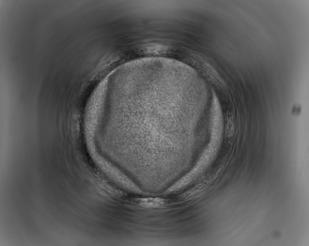 X0000099530363200806061437