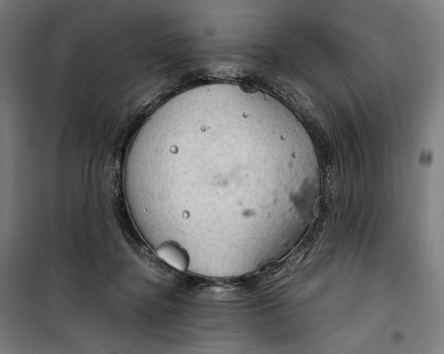 X0000099530364200806061437