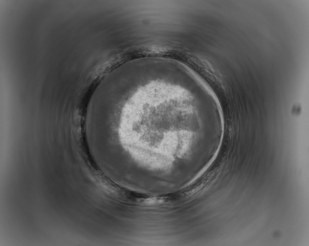 X0000099530366200806061437