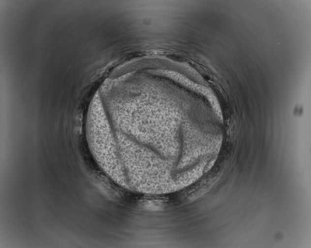 X0000099530368200806061437