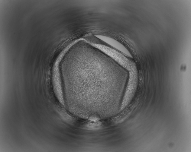 X0000099530369200806061437