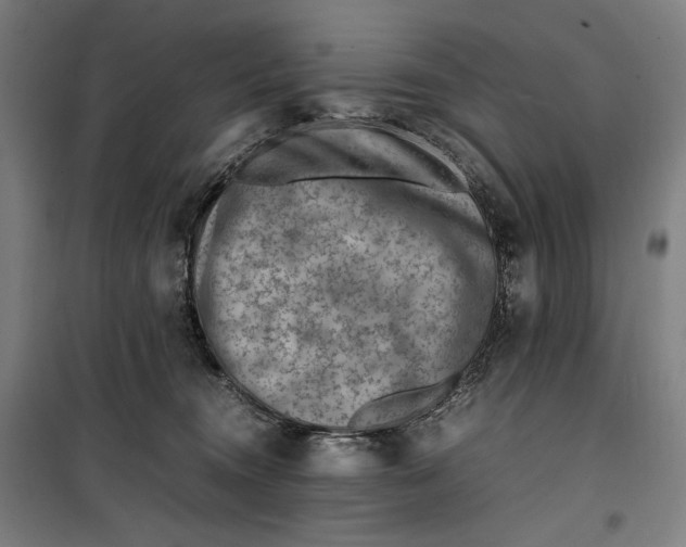 X0000099530372200806061437