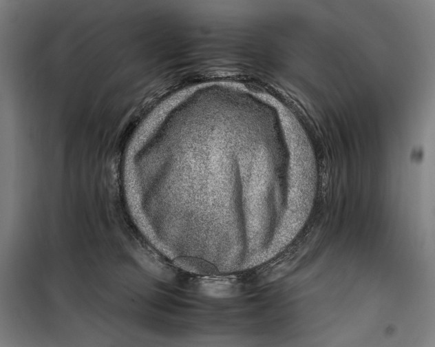 X0000099530373200806061437