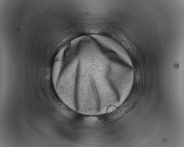 X0000099530374200806061437