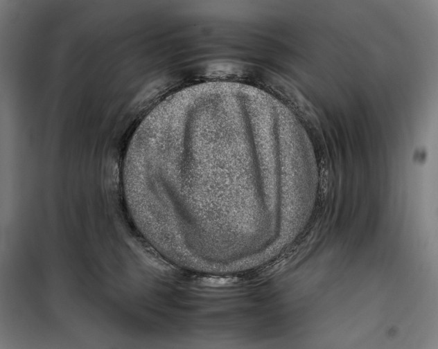 X0000099530375200806061437