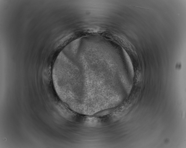 X0000099530376200806061437