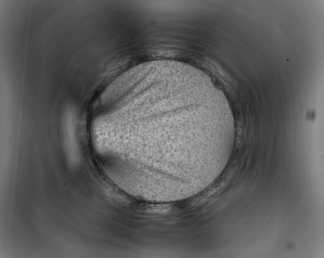 X0000099530377200806061437