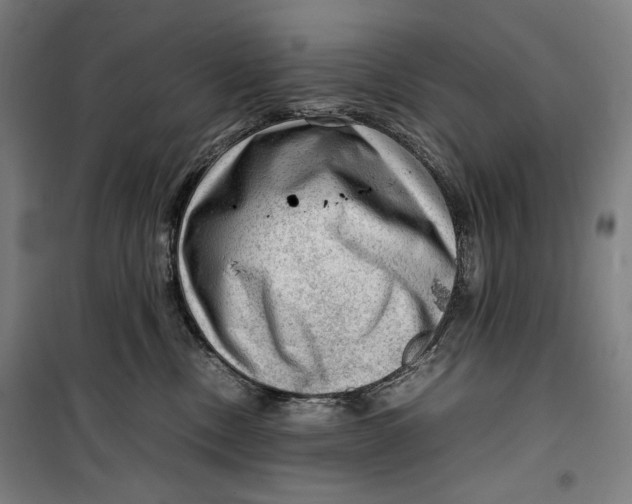 X0000099530378200806061437