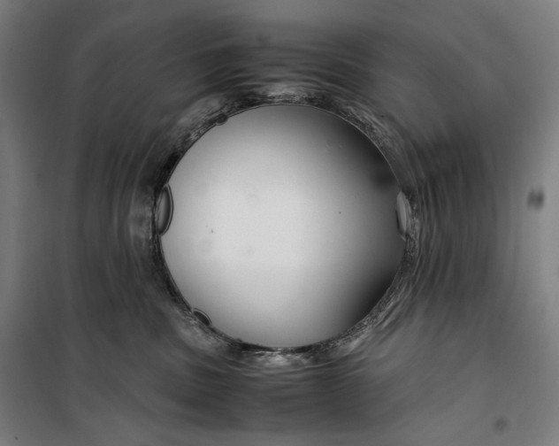 X0000099530379200806061437