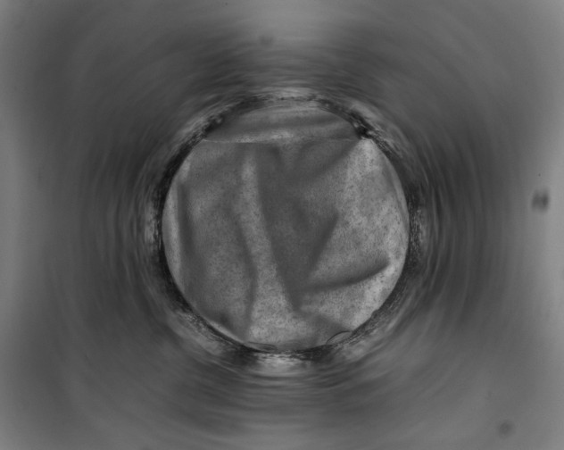 X0000099530380200806061437