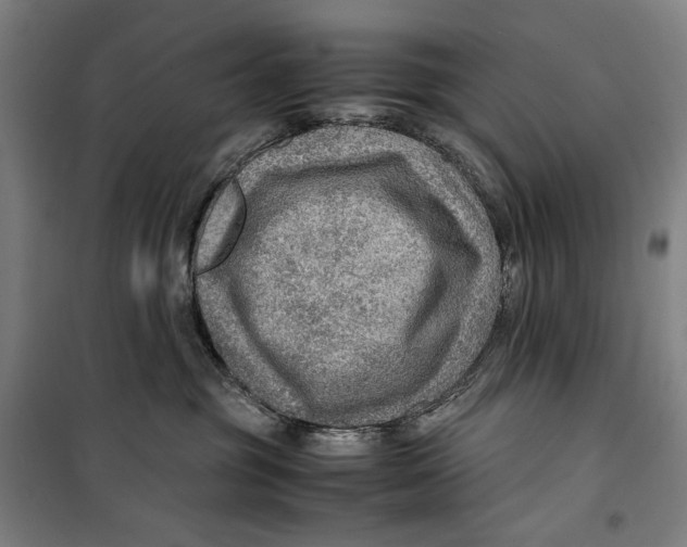 X0000099530381200806061437