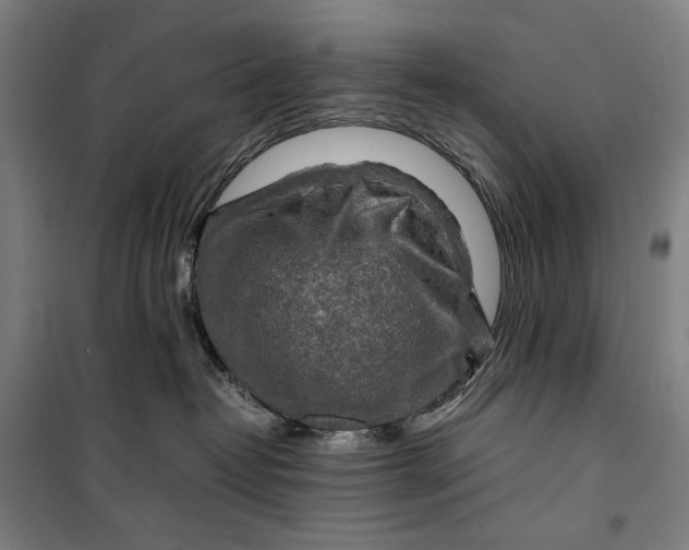 X0000099530382200806061437