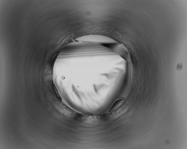 X0000099530384200806061437