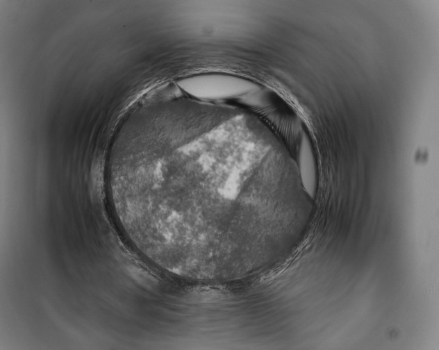 X0000099530386200806061436