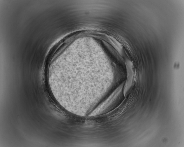 X0000099530388200806061436