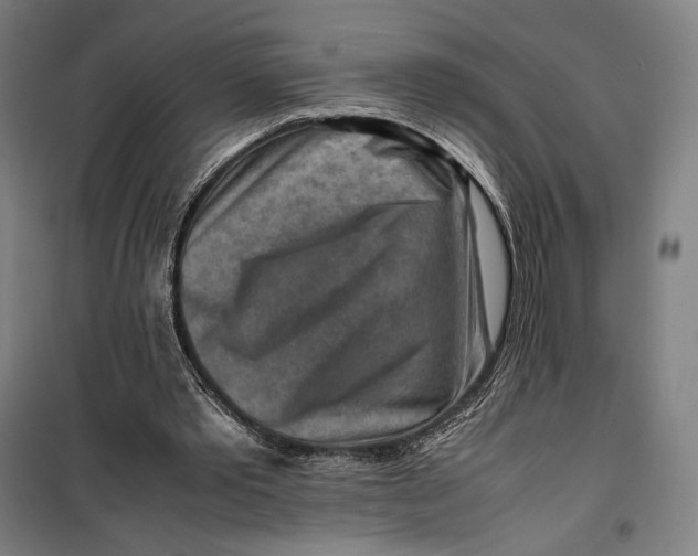 X0000099530389200806061436