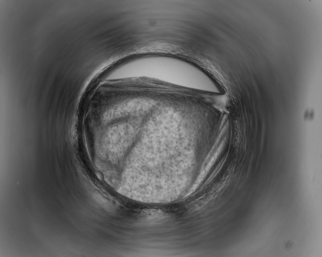 X0000099530392200806061436