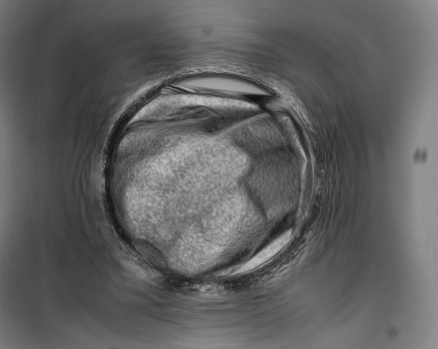 X0000099530395200806061436