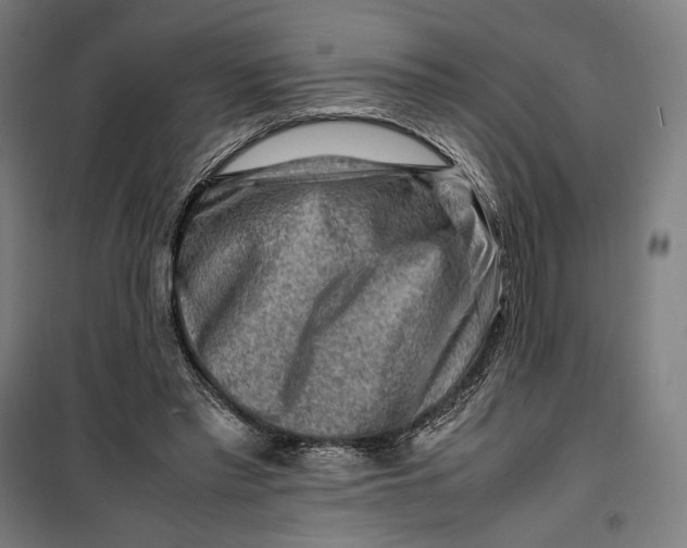 X0000099530397200806061436